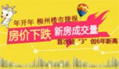2015年柳州楼市1月刊：房价继续下跌 成交量创6年新高
