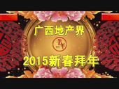 广西地产界2015新春拜年