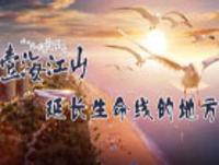 这是大海给你的情书 和居·壹海江山延长生命线的地方