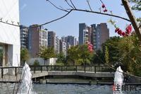 碧园印象桂林返乡特惠 首付4.8万起轻松换大房