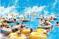 兴荣郡吃货的美好年代“愤怒的水果”料理来袭