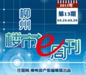 2015年柳州楼市e周刊第13期(03月23日-03月29日)