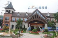 敢“叫板”豪宅的洋房 崇左碧桂园五星级的家火爆抢约中