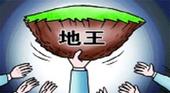 多地频现新地王 土地市场高烧或逼政府再出手