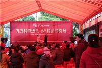 九龙尚城5#6#楼火爆开盘 狂抢最后7字头房源