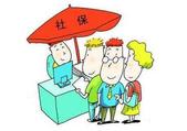 办社保点点鼠标就能完成 我市本月起开通社保网上申报