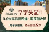 感恩周年庆 金色维也纳钜惠特价房劲爆来袭！