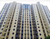 让一份温暖的家书，带您编织一个温暖的梦