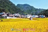 全国文明村镇候选名单出炉 柳州3个村镇入选！