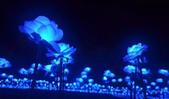 玉林碧桂园光影花田音乐节震撼来袭！！！