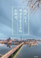 对于碧桂园•滨江府 地王称号只是起点