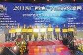广西地产力量颁奖盛典举行 