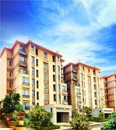 北海楼盘11月份**动态汇总