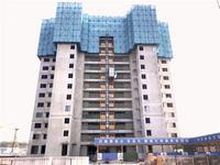 碧桂园·城市花园十一月家书，如约而至！