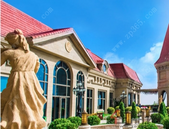 推动法学会工作迈上新台阶  温卡华李沛芬王乃学一同调研 