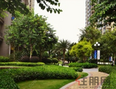 北海市密集出台系列优化营商环境措施