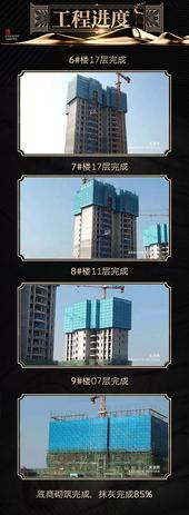 碧桂园·滨江府：11月家书