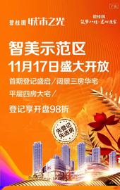 碧桂园城市之光智美示范区11月17日盛大开放