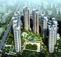 深圳烂尾楼之惑：是金子还是烫手山芋？