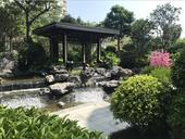 无院落，不洋房丨洋房庭院里的诗意生活