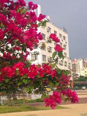 全国小康城市100强出炉 广西北海等多地上榜