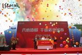 2小时5000人！玉林绿地城营销中心&奢华样板间5.1开放火爆