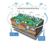 广西提高城市宜居品质 柳州等6市达到海绵城市要求