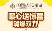 圣世阳光|暖心送惊喜,嗨爆双11!
