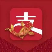 全世界都在羡慕中国锦鲤，但其实更该羡慕的是拥有它！