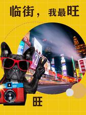 欧洲城 | 财富“钱”规则，我说了算！