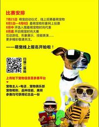 中鼎商墅推介会暨萌宠时尚大赛启动！正在全城招募萌宠形象大咖