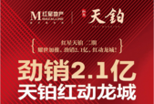 红星天铂二期载誉加推 一小时售达2.1亿！