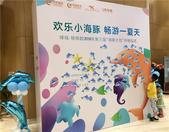 我们游泳去|海豚计划，畅游一夏！