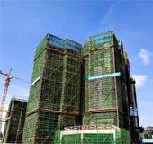 碧桂园·悦府7月家书 幸福近在眼前