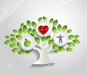 投资12亿元，广西南方健康园项目落地玉林！预计2019年底投用