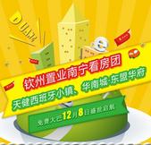 12月15日钦州置业南宁看房团：天健西班牙小镇、华南城·东盟华府