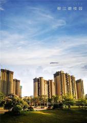 柳江碧桂园八月家书|暑去秋来，收获幸福家