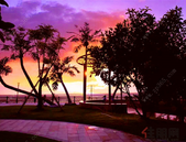 北海“旅游+”多姿多彩 “加”出产业融合发展新天地