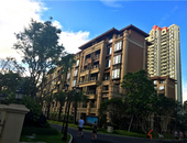 近半个月楼市变化大，不知道你就亏了