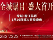 全城瞩目|1月19日，绿城宽房子盛大首开！
