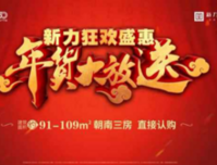 新力狂欢盛惠，年货大放送