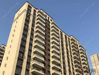 贵港碧桂园一月家书|美好如期，又是一年春暖花开