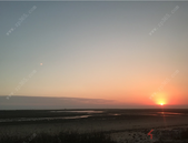 市政府党组召开2018年度民主生活会