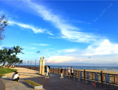 在高质量发展征程中勇于担当磅礴前行