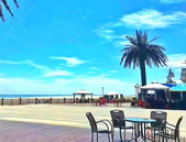 审议通过禁止燃放烟花爆竹有关事项议案