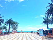 临危受命 他化压力为动力 不畏风险 大胆走扶贫新路