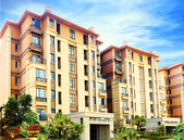 九大**中心城市何以崛起