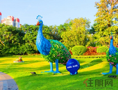 北海综合保税区揭牌运作