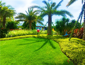 房屋高出放盘价卖出 中介要收取高出部分？小心猫腻!