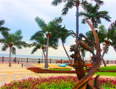 专家：2019年楼市调控不会全国大规模放松